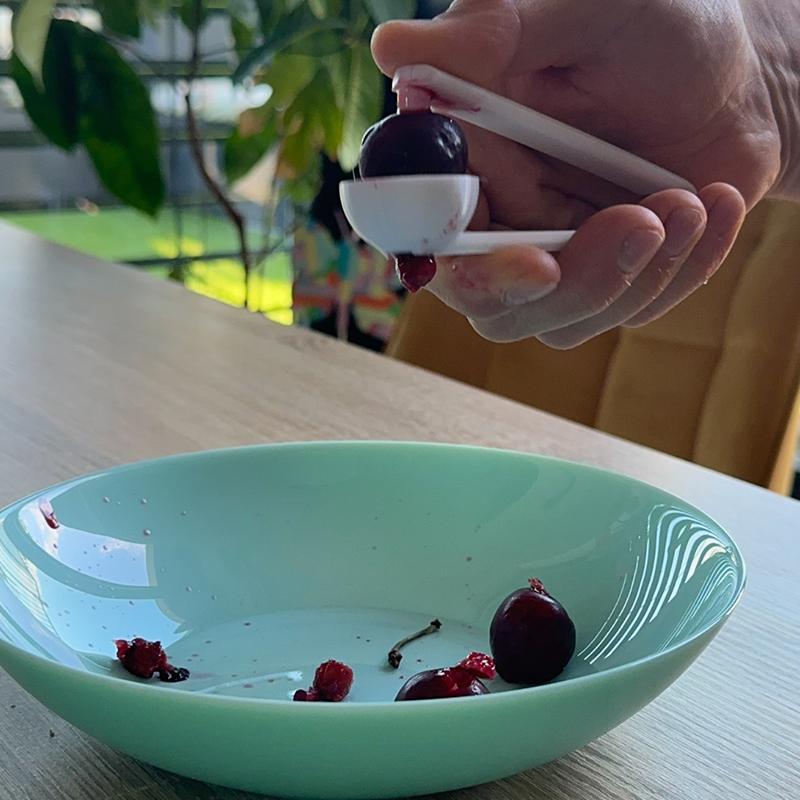 3D 프린팅 체리 피터, 간편하게 사용하는 과일 씨 제 - Kitchen Gadgets To 3D Print 리뷰 및 가격