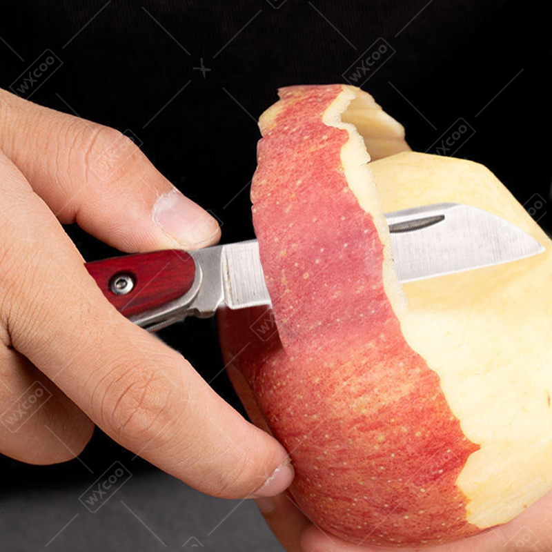 스테인리스 스틸 포켓 나이프 로즈우드 핸들 과일 나이프 - Kitchen Gadgets That Make Life Easier 리뷰 및 가격